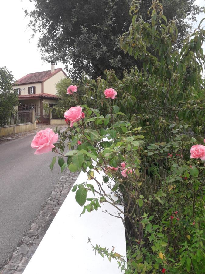 Villa Casa Hozani Albarrol Esterno foto